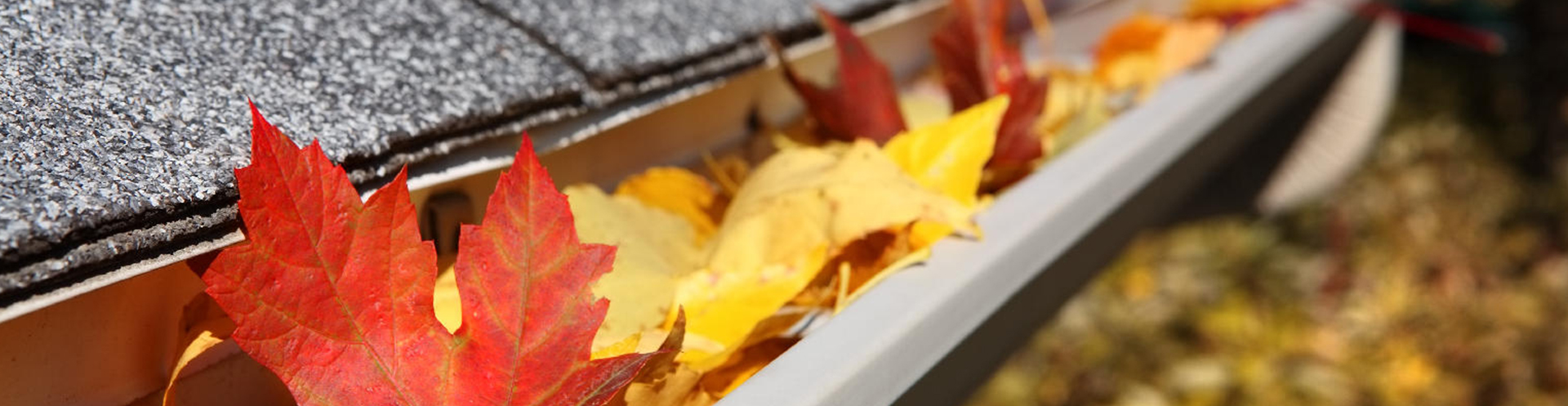 Gutter Cleaning